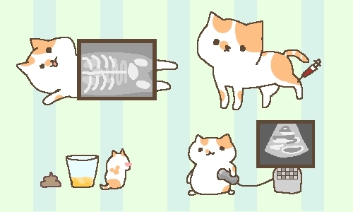 碧南,西端,犬猫,健康診断,わんにゃんドッグ