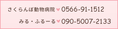 さくらんぼ動物病院 TEL:0566-91-1512 ・トリミングサロン TEL:090-50072133