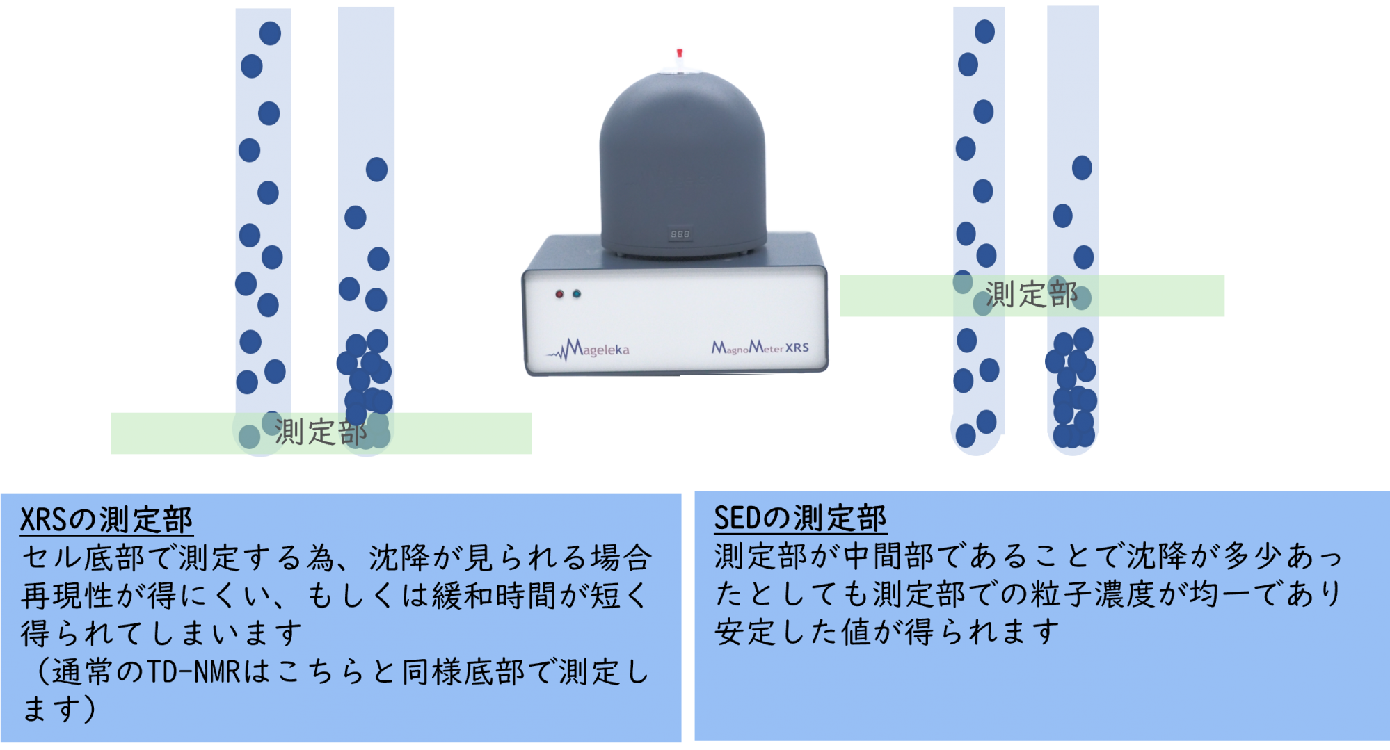 MagnoMeter XRSとMagnoMeter SEDの測定部位の違い