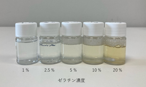濃度の異なるゼラチンゲルの調整サンプル