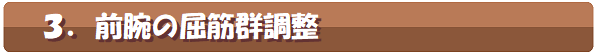 3.前腕の屈筋群調整