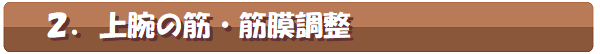2.上腕の筋・筋膜調整