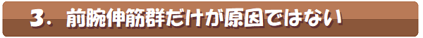 前腕伸筋群だけが原因ではない