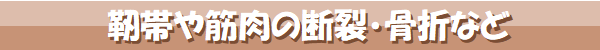 靭帯や筋肉の断裂・骨折など