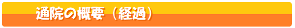 通院の概要,経過