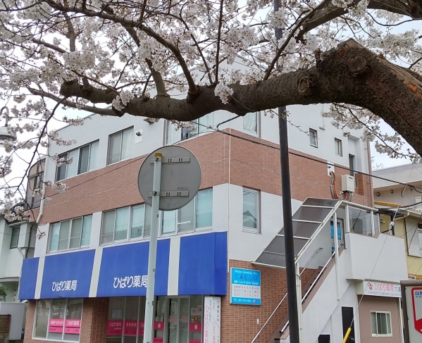 横浜市金沢区 六浦皮ふ科